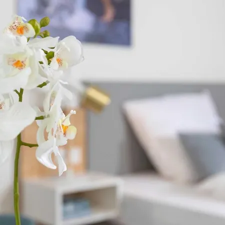 Nino-boardinghouse 15 *